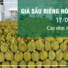 Giá sầu riêng hôm nay ngày 17/08/2024