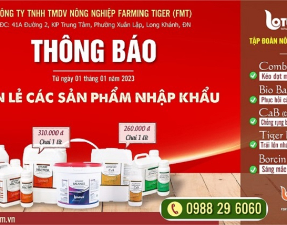 Báo giá thị trường bán lẻ các sản phẩm nhập khẩu Thổ Nhĩ Kỳ