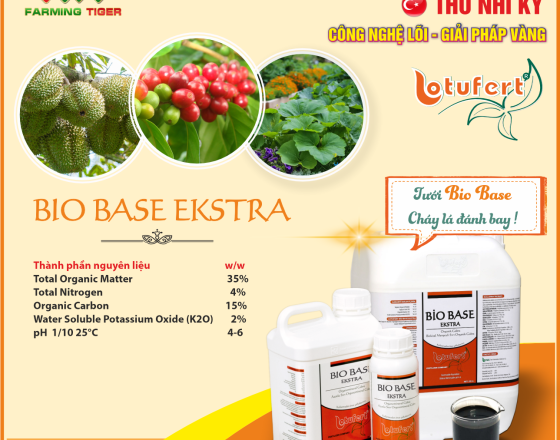 Hướng dẫn sử dụng Bio Base Ekstra
