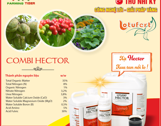 Hướng dẫn sử dụng Combi Hector