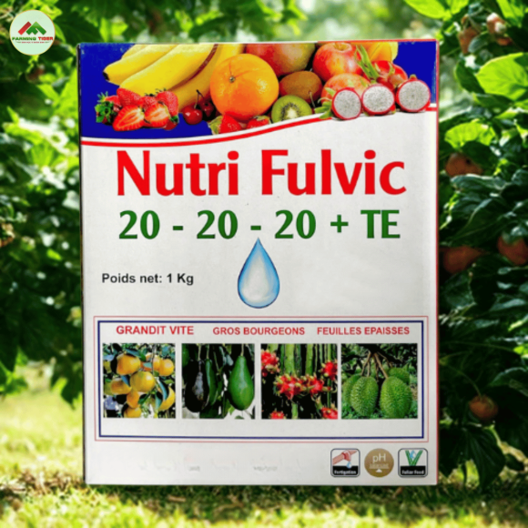 Nutri Fulvic 20-20-20+TE (1KG) | PHÂN BÓN HỖN HỢP NPK - GIÚP RA HOA, DƯỠNG TRÁI, PHỤC HỒI 