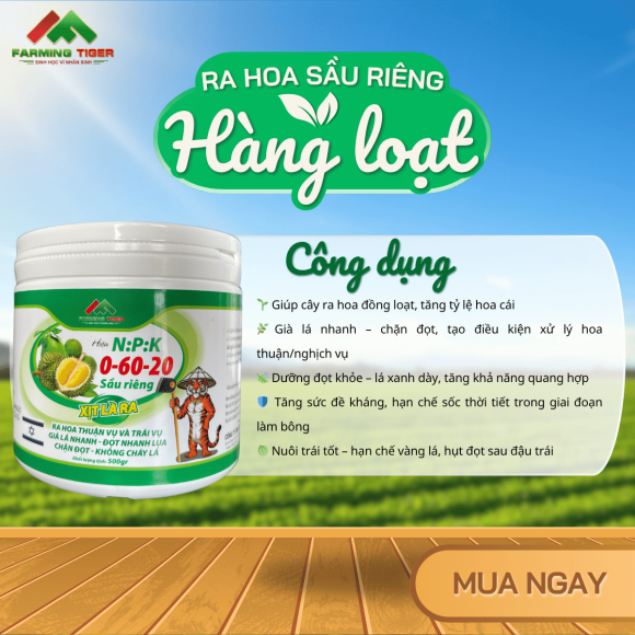 Combo 2 Hộp NPK 0-60-20 |Kích Hoa Mạnh, Già Lá Nhanh, Ra Hoa Hàng Loạt (500g)