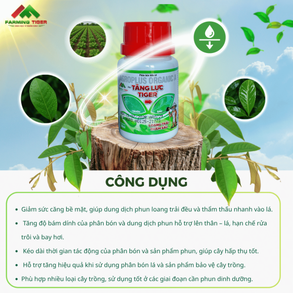 Combo 3 Chai  Tăng Lực Tiger (100ml) - Bám dính tốt, Thẩm thấu nhanh, Loang trải đều