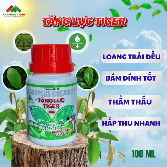 Combo 3 Chai  Tăng Lực Tiger (100ml) - Bám dính tốt, Thẩm thấu nhanh, Loang trải đều